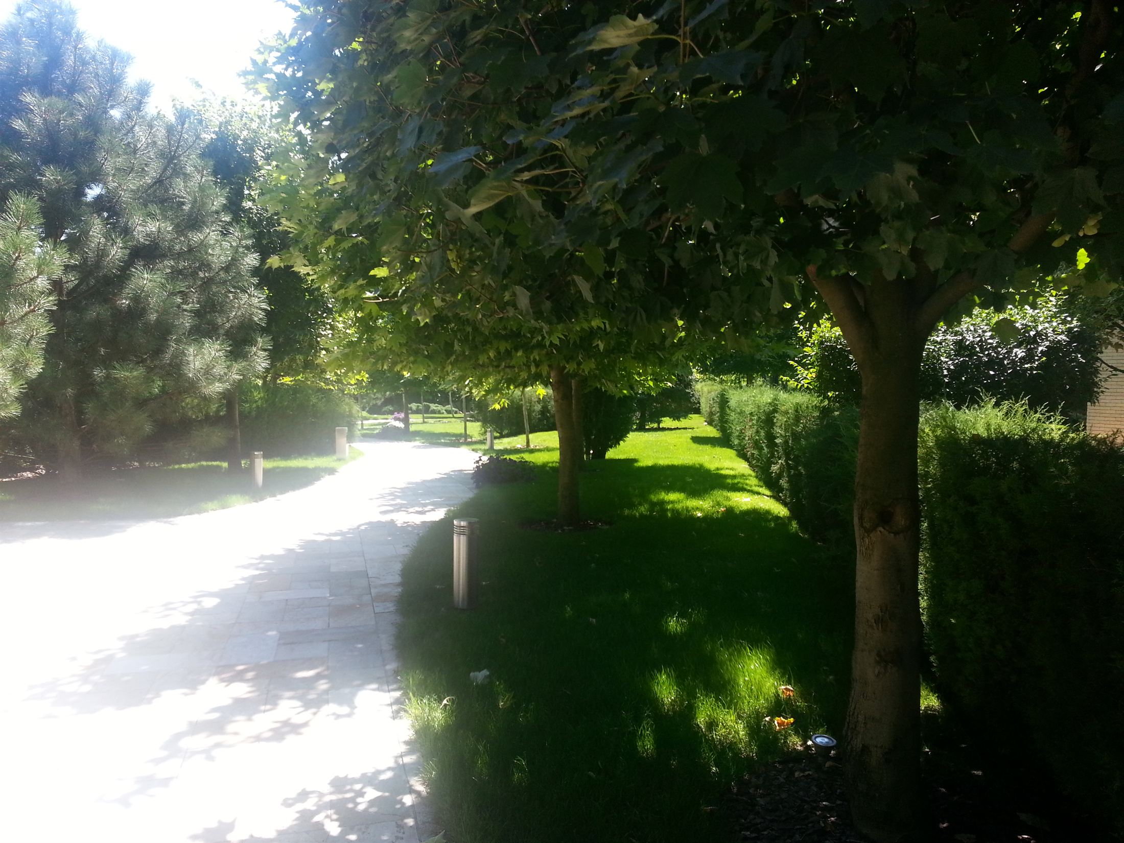 SunRay Resort&Spa, фото 9